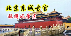 操岛国娇小中国北京-东城古宫旅游风景区